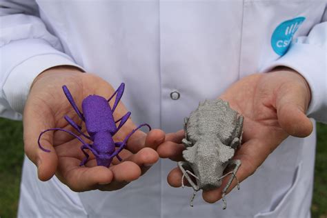 Giant 3D printed bugs shed light on insect anatomy – CSIROpedia