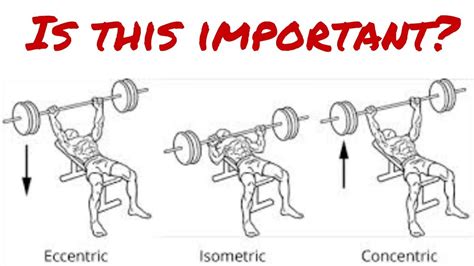 Concentric And Eccentric Muscle Training | EOUA Blog