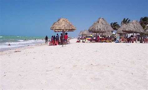 The Flamingo Coast and Progreso Mexico Beaches