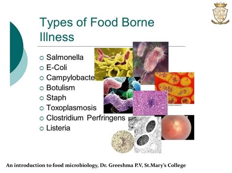 Microbiology:An Introduction To Food Microbiology