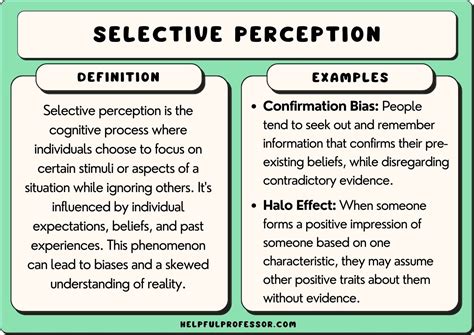 15 Selective Perception Examples (2024)