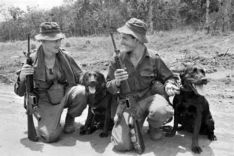 What Kind Of Dogs Were Used In Ww2