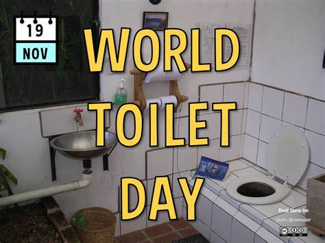 World Toilet Day – Planeta.com