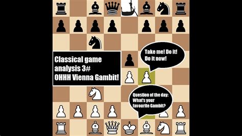 Ohhh! Vienna Gambit! Classical game analysis 3# - YouTube