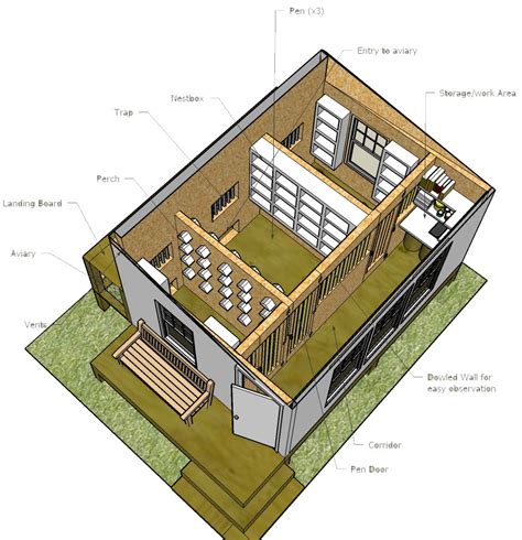 Pigeon loft plans free | Jum Chicken Coop