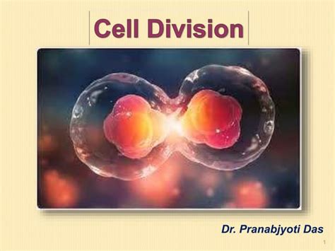 Cell Division | PPT