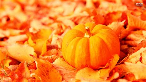 Fall Wallpaper Backgrounds with Pumpkins - WallpaperSafari