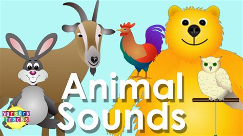 Best Animal Sounds Song Part 2 | Animal sounds, Sound song, Animals