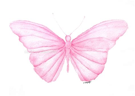 Pink Butterfly Watercolor Painting Archival 5 X 7 Print - Etsy