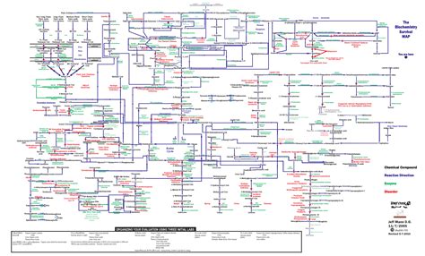 Which biochem pathways to put on Step1 Scratch paper | Student Doctor Network