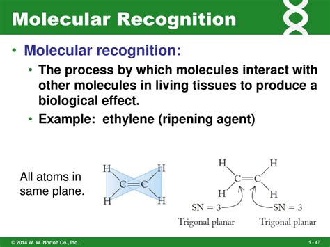 PPT - Molecular Geometry: Shape Determines Function PowerPoint Presentation - ID:6904438