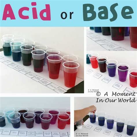 Acid or Base Experiment | Teaching chemistry, Chemistry classroom, Apologia chemistry