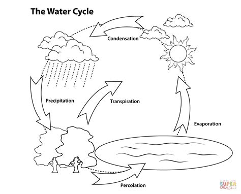 Simple Water Cycle coloring page | Free Printable Coloring Pages