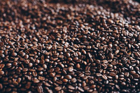 Close-Up Photography of Roasted Coffee Beans · Free Stock Photo