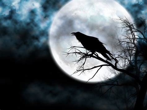 Raven Symbolism and Raven Meaning on | Raven, Beautiful dark art, Meaning of raven