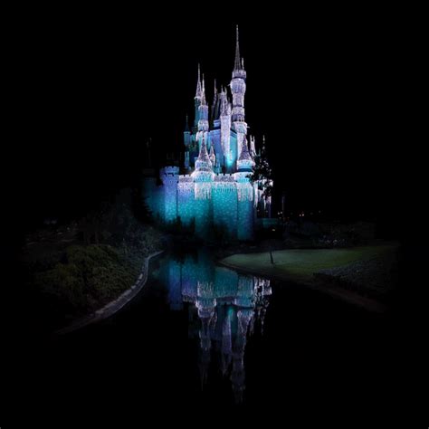 the castle | Disney world resorts, Cinderella castle, Magic kingdom