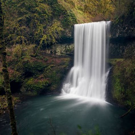 Silver Falls State Park | The Official Guide to Portland