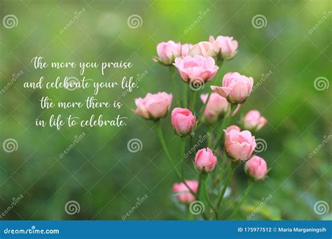 Inspirational Quote - the More You Praise and Celebrate Your Life, the More There is in Life To ...