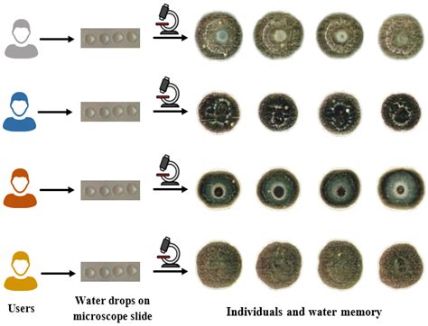 Electronics | Free Full-Text | Water Is a Viable Data Storage Medium: A ...