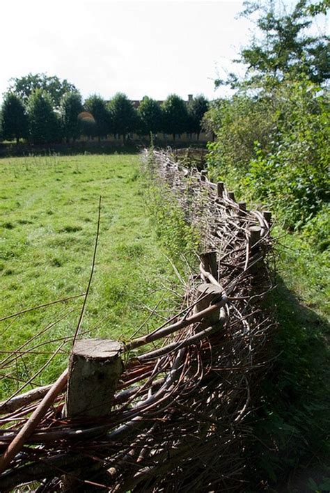 Protective Wattle Fence in 5 Practical Steps