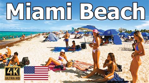 Miami Beach, Florida 🇺🇸 2022 Walking Tour in 4k 🇺🇸 - YouTube