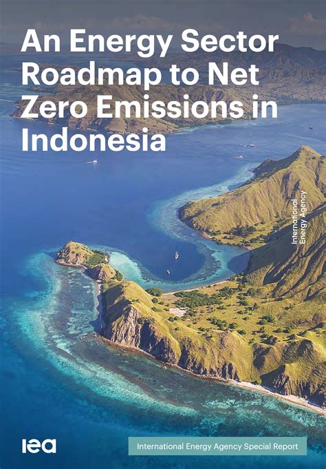 An Energy Sector Roadmap to Net Zero Emissions in Indonesia | GlobalABC