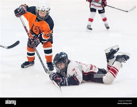 Game between children ice-hockey teams Stock Photo - Alamy