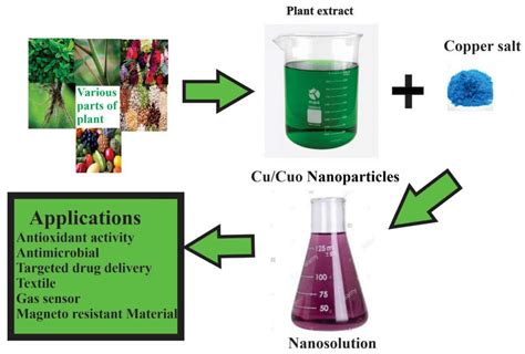 Coatings | Free Full-Text | Green Synthesis of Metal and Metal Oxide Nanoparticles Using ...