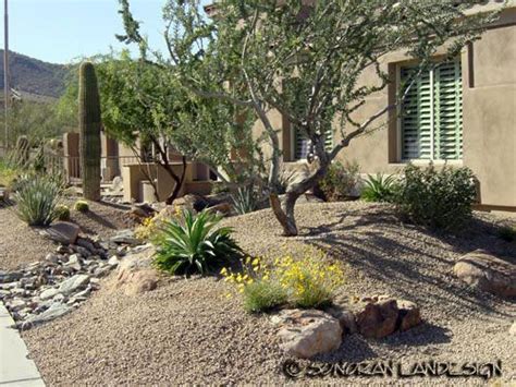 19 best ideas about Desert Landscaping Front Yard on Pinterest | Agaves, Front yards and Cactus