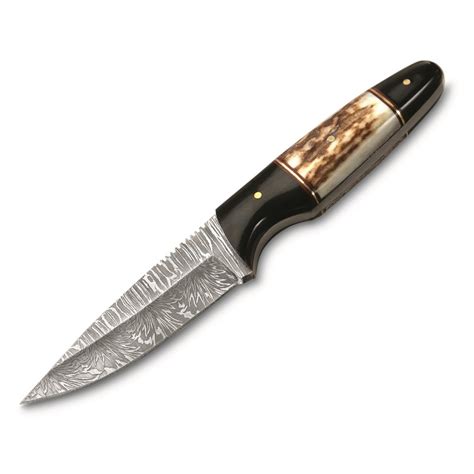 Stag Handle Knife | Sportsman's Guide