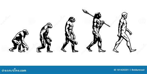 Clipart Evolution Of Man Timeline