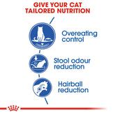 Indoor Appetite Control (4kg) | Royal Canin Cat Food | Lords & Labradors