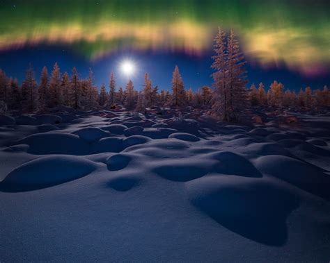 Wallpaper Winter, snow, night, trees, northern lights 2880x1800 HD ...