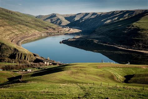 The Snake River Basin Is A Climate-change Refuge For Migrating Salmon And Steelhead - Trout ...