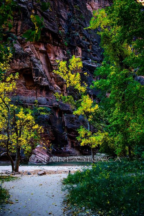 Fall Colors changing in Zion National Park at sunrise. | National parks, Zion national park ...