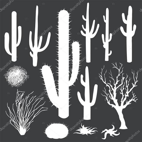 Vector set of white silhouettes of cacti and other desert plants ...