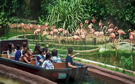 Safari World Bangkok Tours & Tickets - Highlights, Things To Do, & More