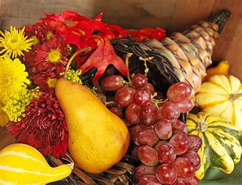 Fall Cornucopia with Fruits & Vegetables - Prepared Food Photos, Inc.