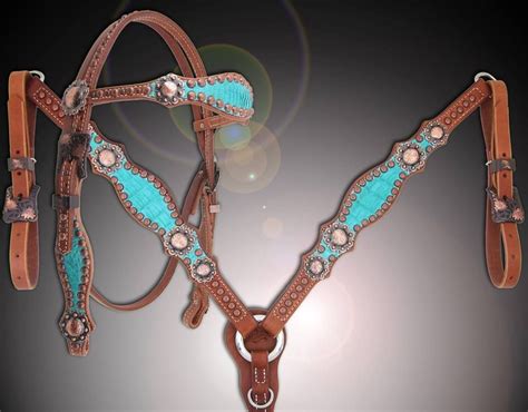 Saddle accessories, Western horse tack, Western tack