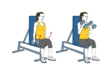 SEATED HAMMER CURLS - Exercises, workouts and routines