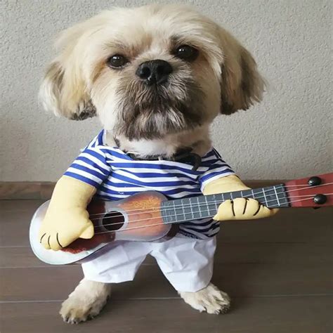 Funny Dog Costumes Guitar Player Pet Clothes Puppy Outfit Halloween Dog Clothes For Small Dogs ...