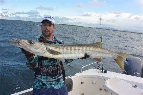 Best gear to fish Pacific Barracuda | (Sphyraena Argentea) | FishFriender