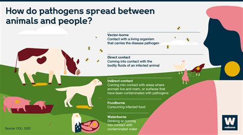 Types Of Zoonotic Diseases