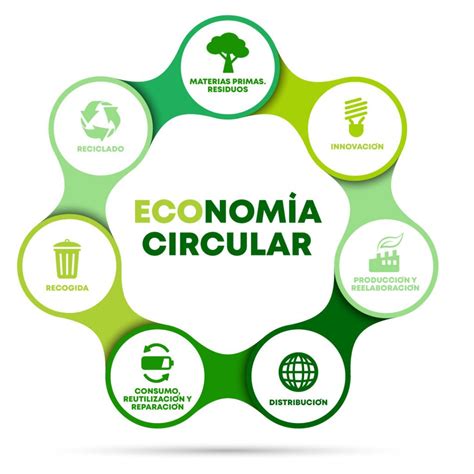 Qué es la economía circular - RESIDUOS MORLO