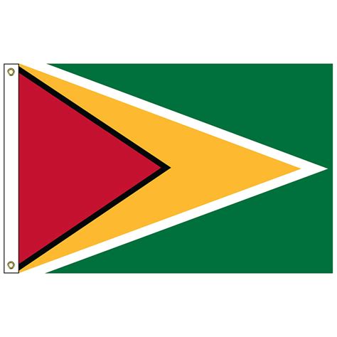 FW-140-3X5GUYANA Guyana 3′ x 5′ Outdoor Nylon Flag with Heading and Grommets | Hanover Flag Company