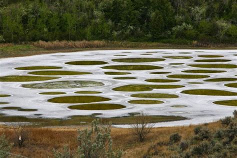 The Magical Spotted Lake, Canada - Charismatic Planet