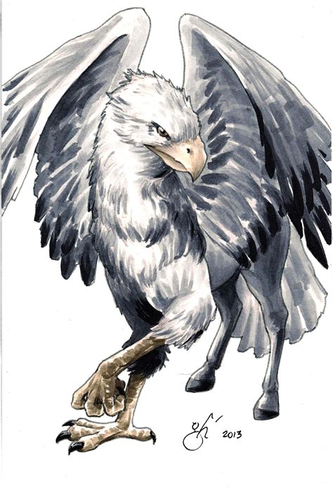 Hippogriff DSC | Harry potter creatures, Harry potter drawings, Harry potter tattoos