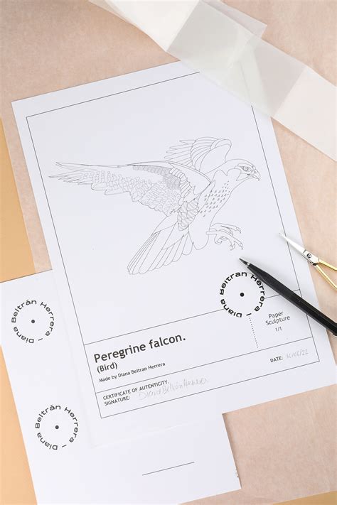 Peregrine falcon :: Behance