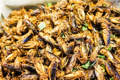 Premium Photo | A cricket's fried or fried insect is native thai food.