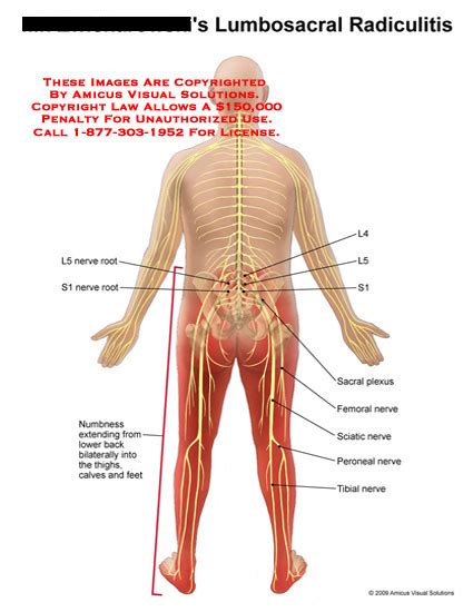 Medical Exhibits, Demonstrative Aids, Illustrations and Models